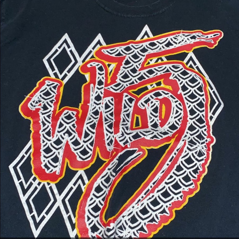 Ace cheer company wild warriors shirt